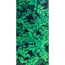 St Helens Home and Garden