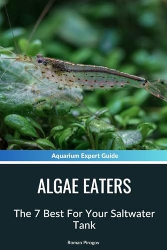 Algae eaters the - 7, best