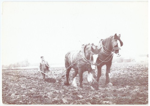 Autumn ploughing reproduction - autumn,