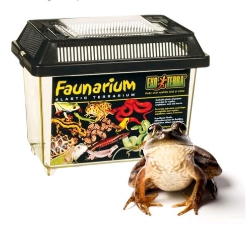 Faunarium terrarium black - faunarium,, terrarium,