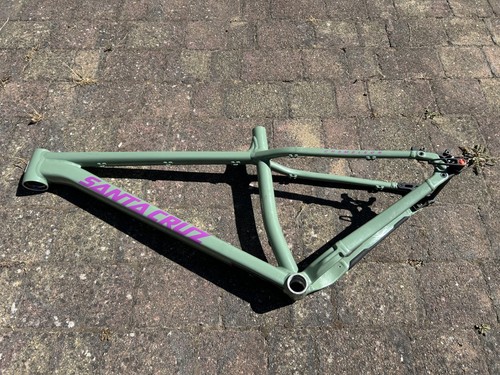 Santa cruz chameleon - santa,
