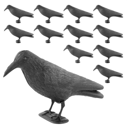 Decoy crow fake - decoy, garden