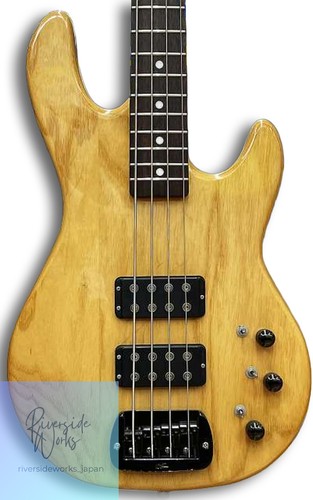 Electric bass tribute - electric,