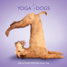 Yoga Dogs - Get in Touch With
