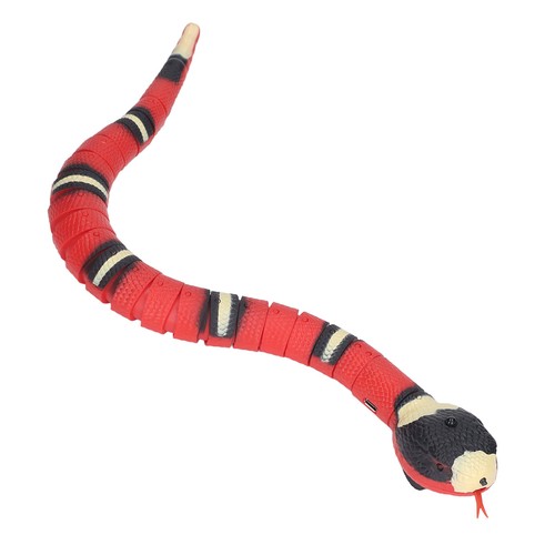 Remote control snake - control,