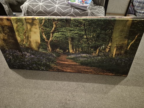 Large canvas picture - canvas,