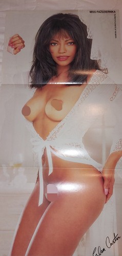Polski polish playboy poster - polski,