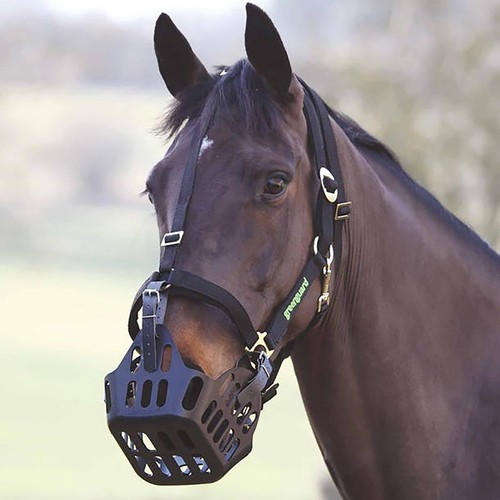 New greenguard muzzle - new,