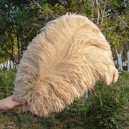 30cm large ostrich feathers - ostrich,