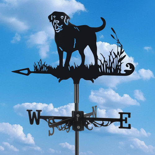 Dog metal weather - 3d,