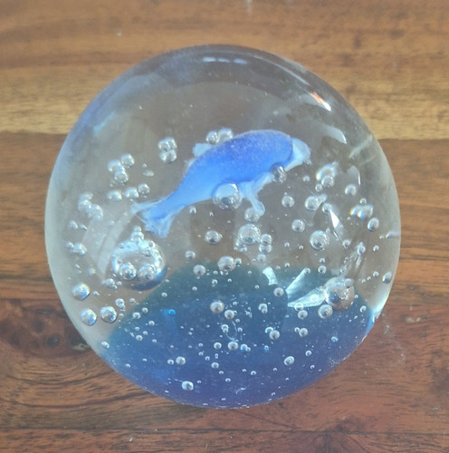 Art glass fish paperweight - art,