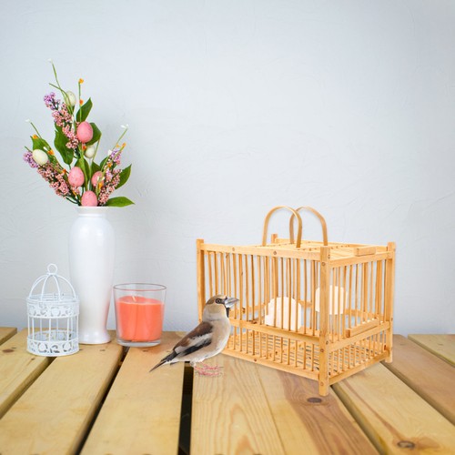Indoor bird cage - indoor,