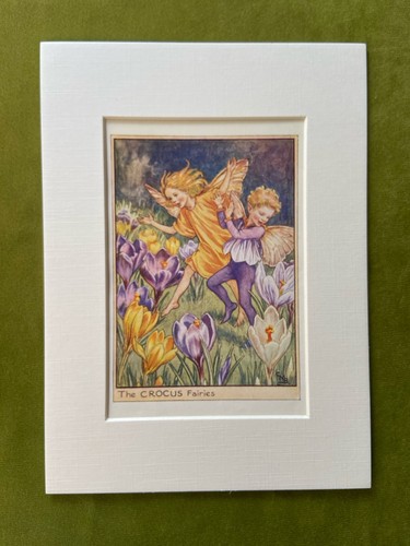Crocus flower fairy - ‘crocus’,