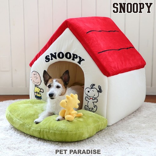 Snoopy dog paradise - paradise,
