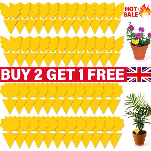 41pcs sticky fly traps plant - fly,
