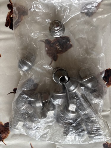 Transit custom wheel nuts - transit,