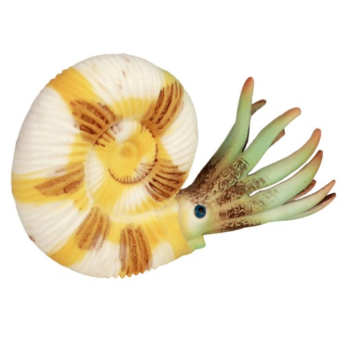 Simulated sea animal model - animal,