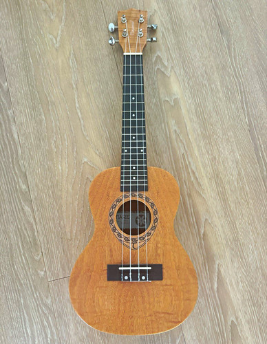 Tanglewood tiare twt6 concert - tiare,