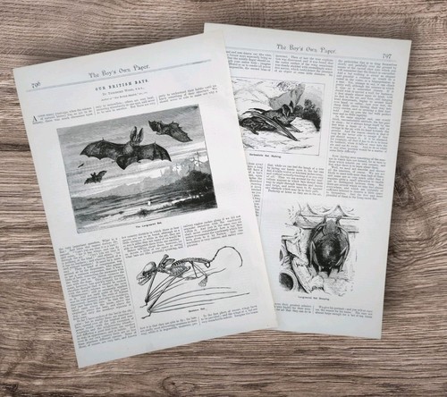 Pair antique 1888 - antique, victorian