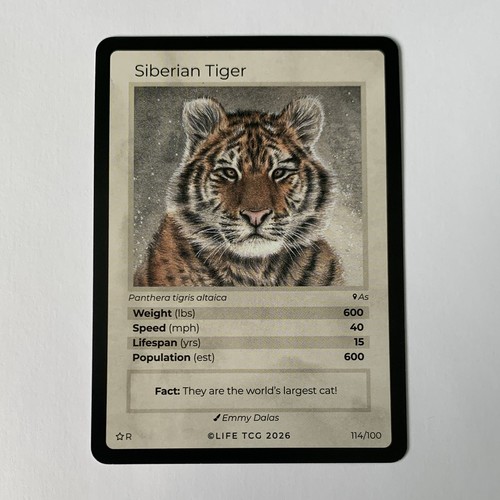 Life tcg siberian tiger - siberian,