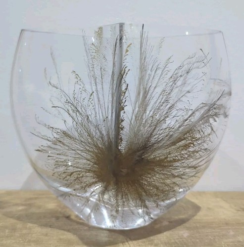 Nobile glass vase gold - glass,