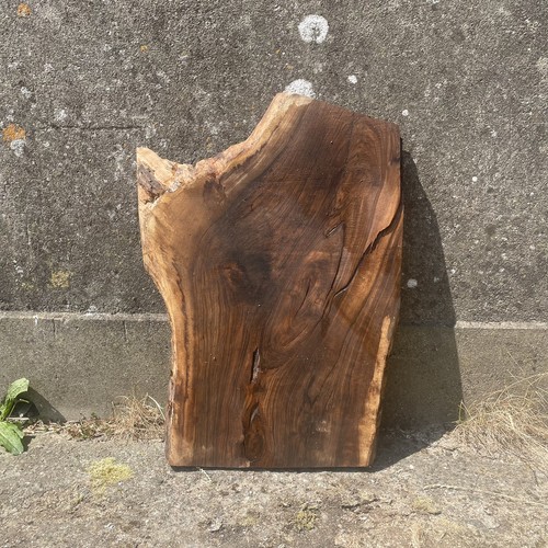 English walnut slab - walnut,