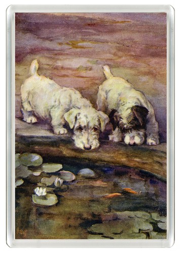 Sealyham terrier dog fridge - sealyham,