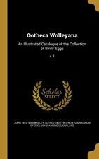 Wolley - Ootheca ana  An