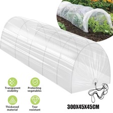 Greenhouse Polytunnel Garden