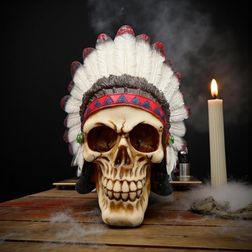 Native american skull - native,