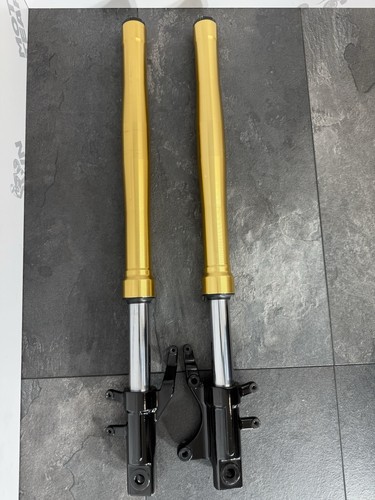 Honda msx125 grom 2016 - grom, front