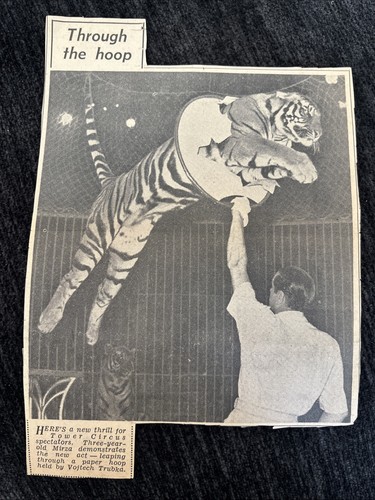 Blackpool tower circus vojtech - blackpool,
