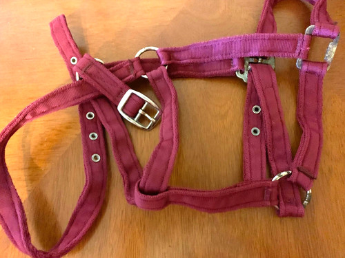 Horse head collar dark pink - head,