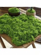 100g artificial moss - artificial,