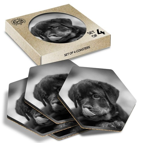 Hexagon coasters bw - 4, x