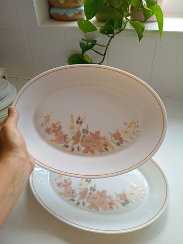 Pair vintage hedge rose - vintage, "hedge