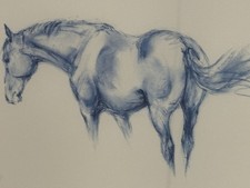 Limited Edition Signed Horse