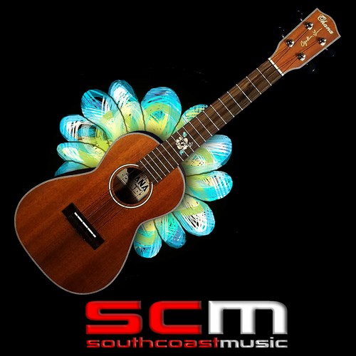 Ohana concert ukulele gig - concert, &