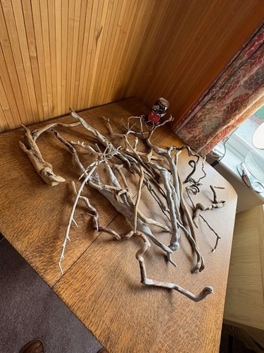 Driftwood xover20 delicate - ,