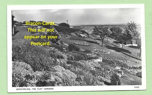 Essex p postcard - (k098), r/p