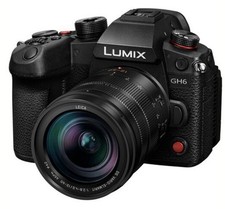 Panasonic LUMIX GH6 + 12-60mm