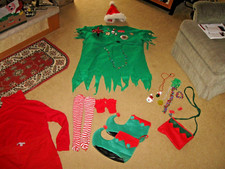 Womens Elf Costume Suit