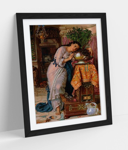 Isabella pot of basil - of,