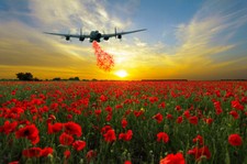Avro Lancaster poppy drop