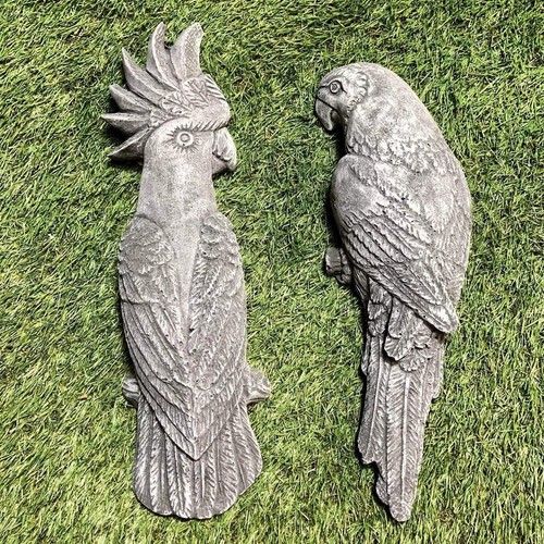 Concrete parrot cockatoo - parrot, bird