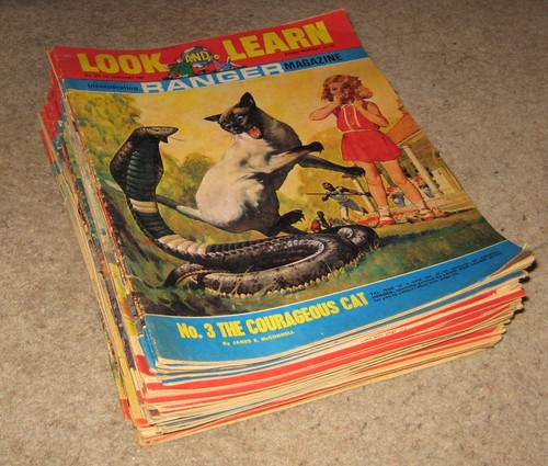 Bundle lot look - 52, and