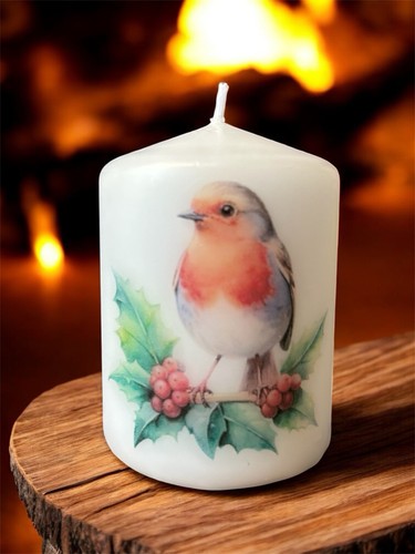 Christmas robin - robin,