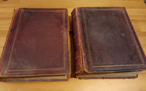 Standard dictionary the - dictionary, of