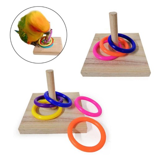 Wooden bird parrot platform - parrot,