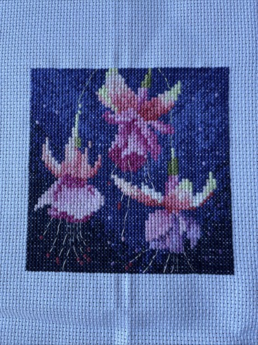 Fuchsia trailing completed - fuchsia,